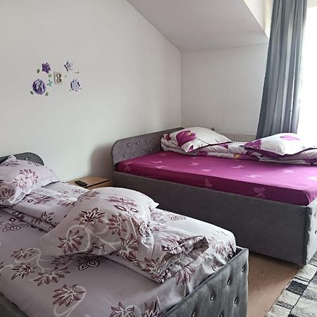 Casa Emilia Hotell Vatra Dornei Eksteriør bilde