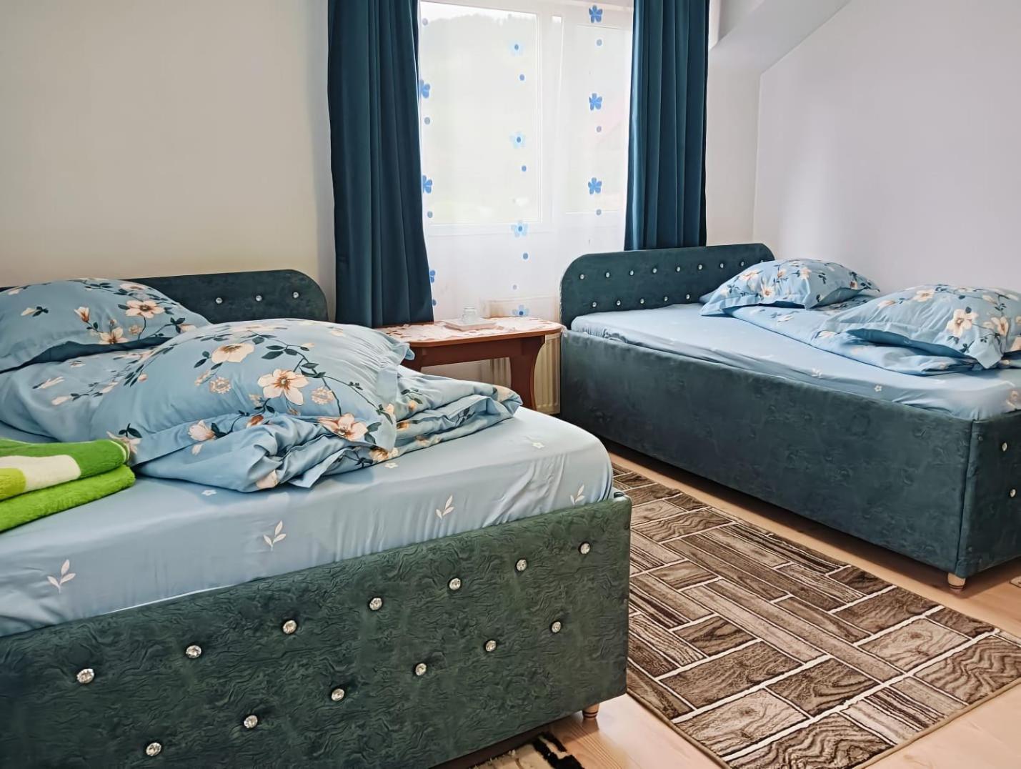 Casa Emilia Hotell Vatra Dornei Eksteriør bilde