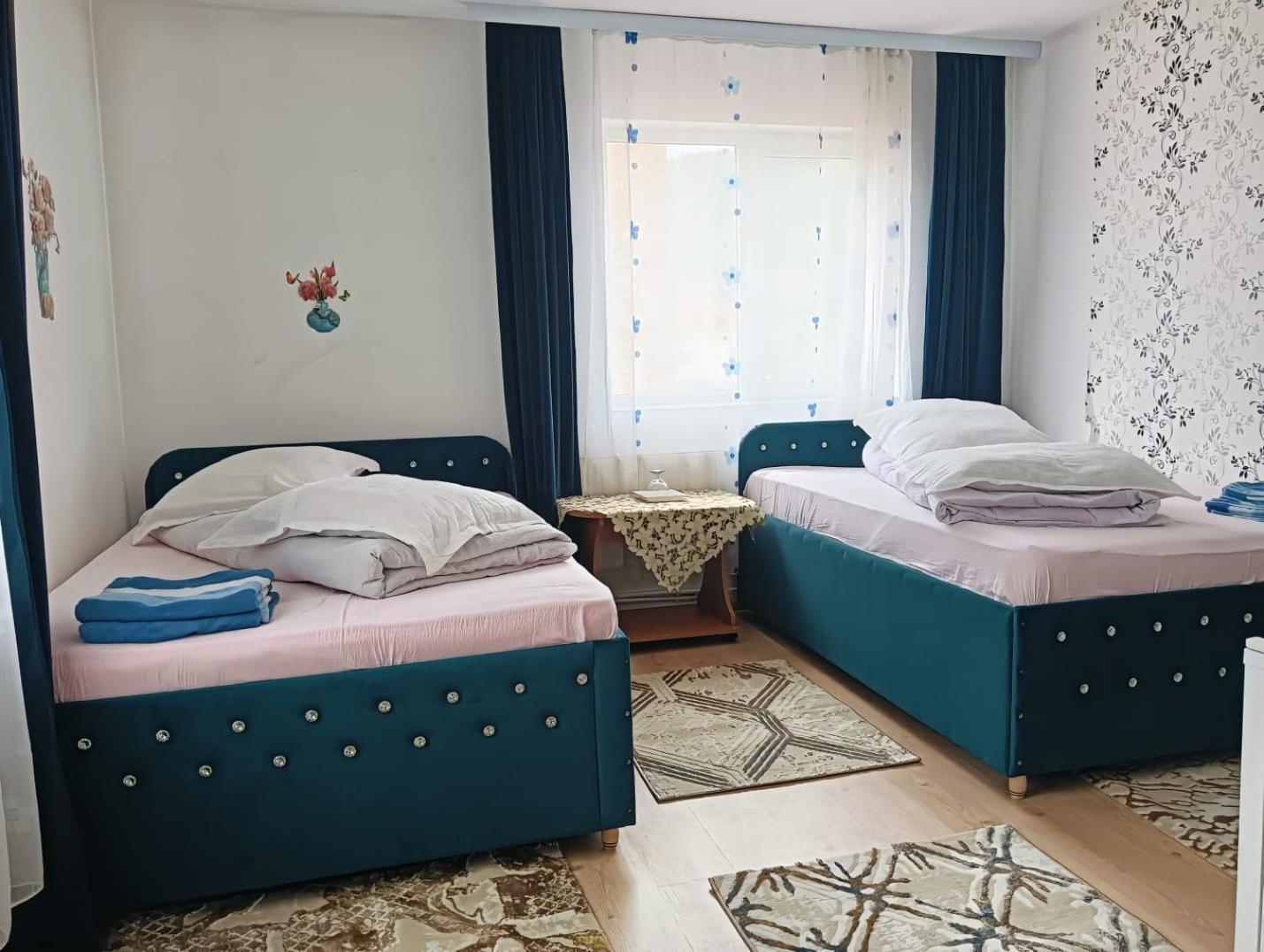 Casa Emilia Hotell Vatra Dornei Eksteriør bilde