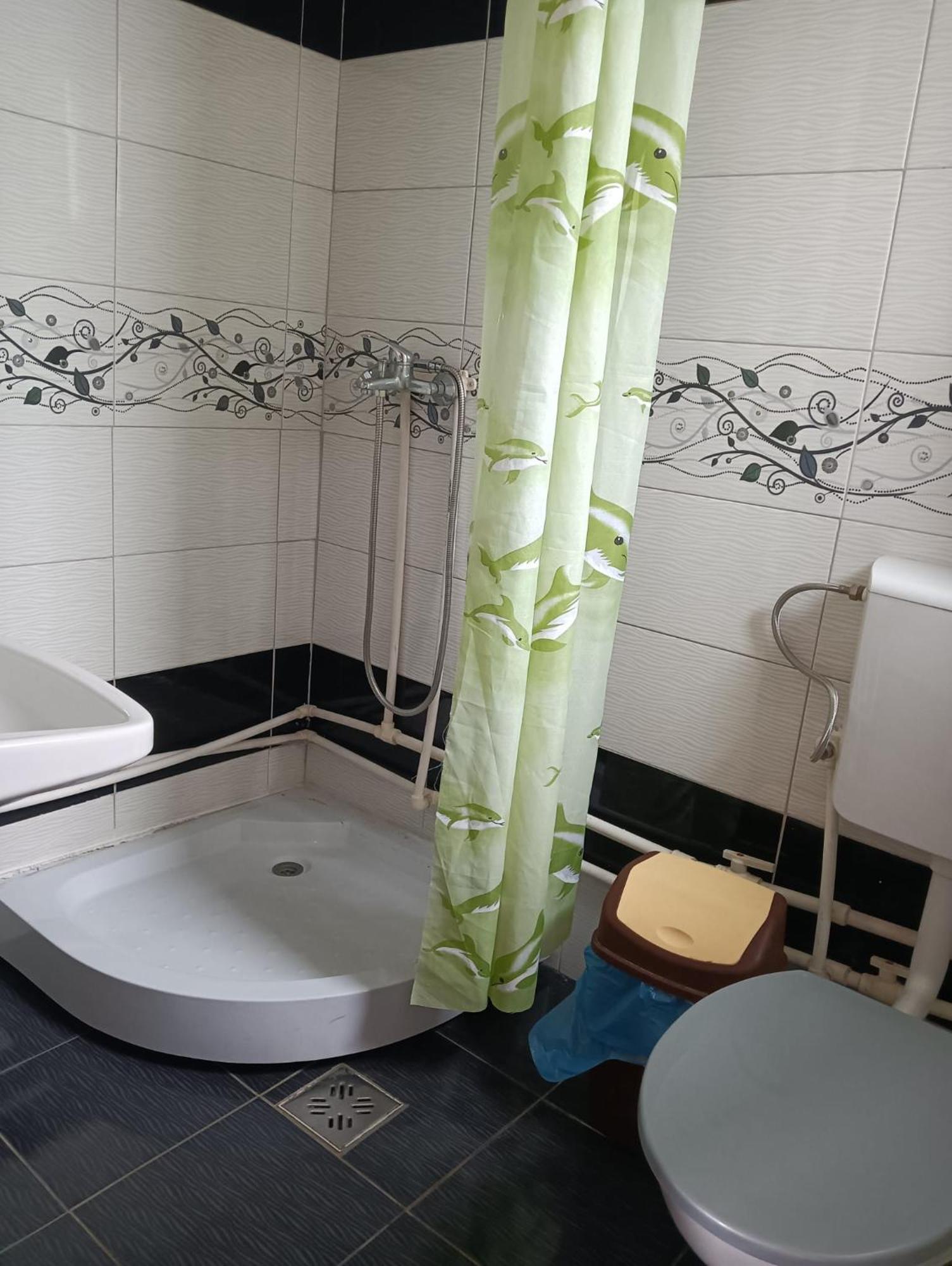 Casa Emilia Hotell Vatra Dornei Rom bilde