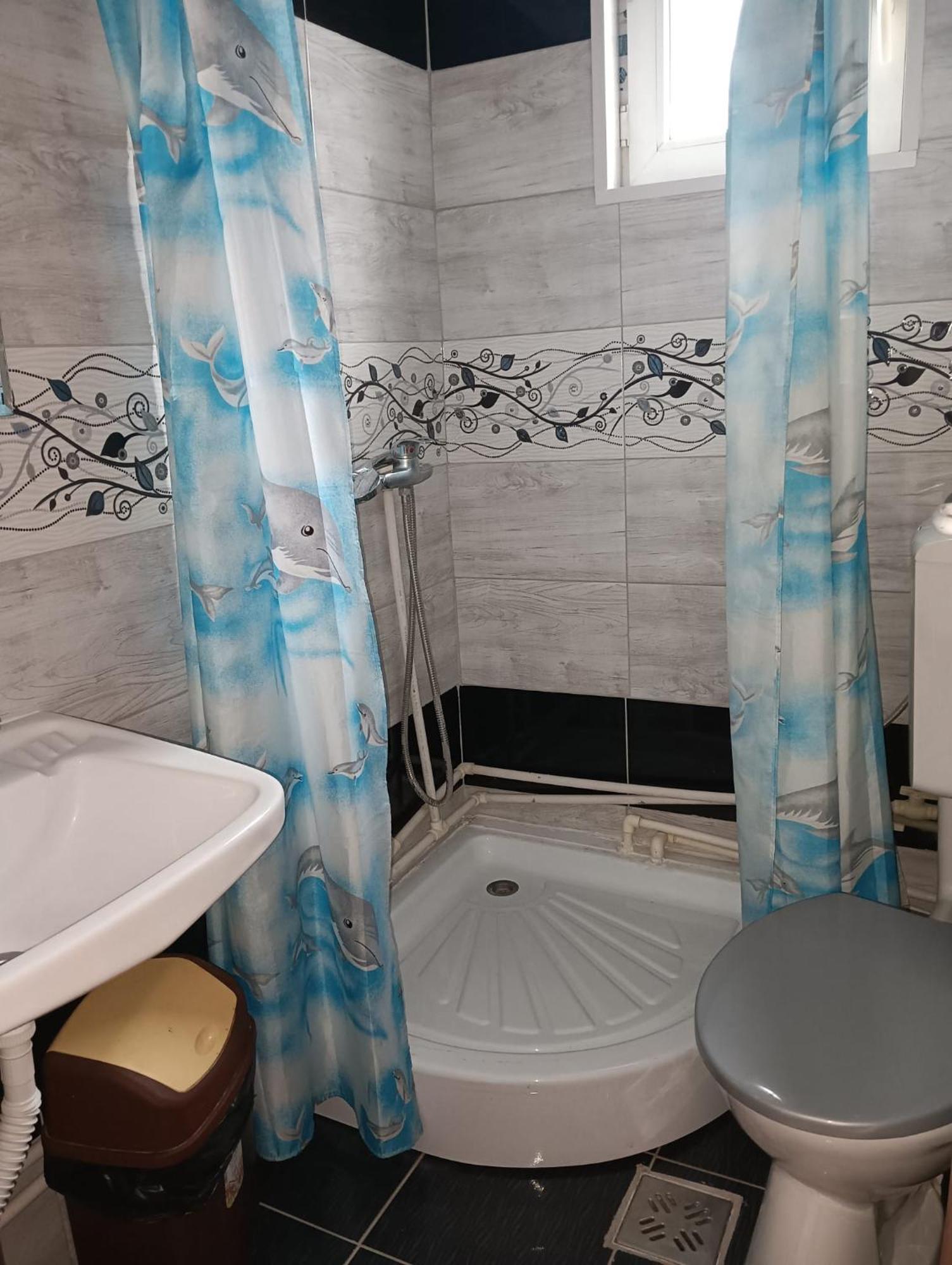 Casa Emilia Hotell Vatra Dornei Rom bilde