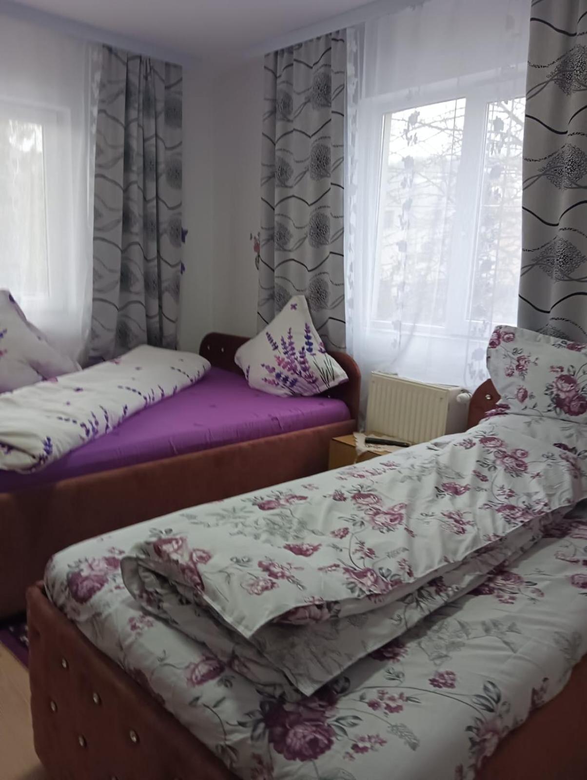 Casa Emilia Hotell Vatra Dornei Rom bilde